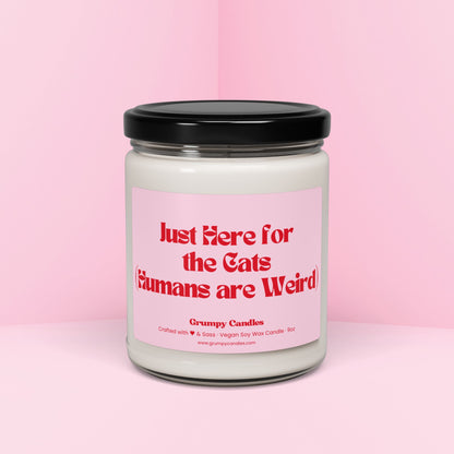 Here for the Cats Candle